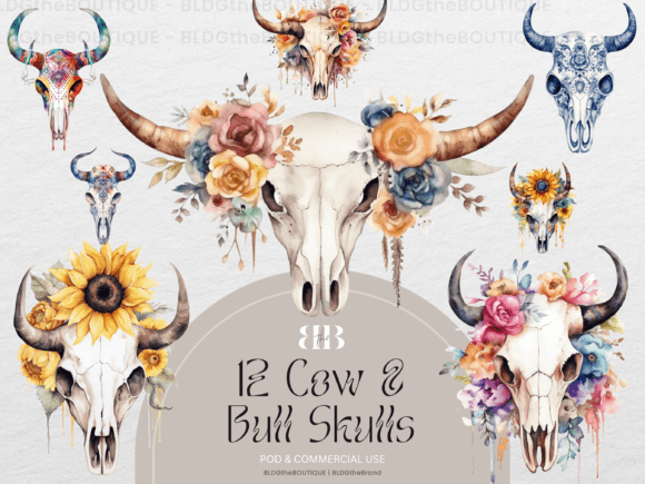 Western Longhorn Bull Skull PNG Clipart